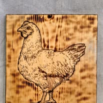 chicken